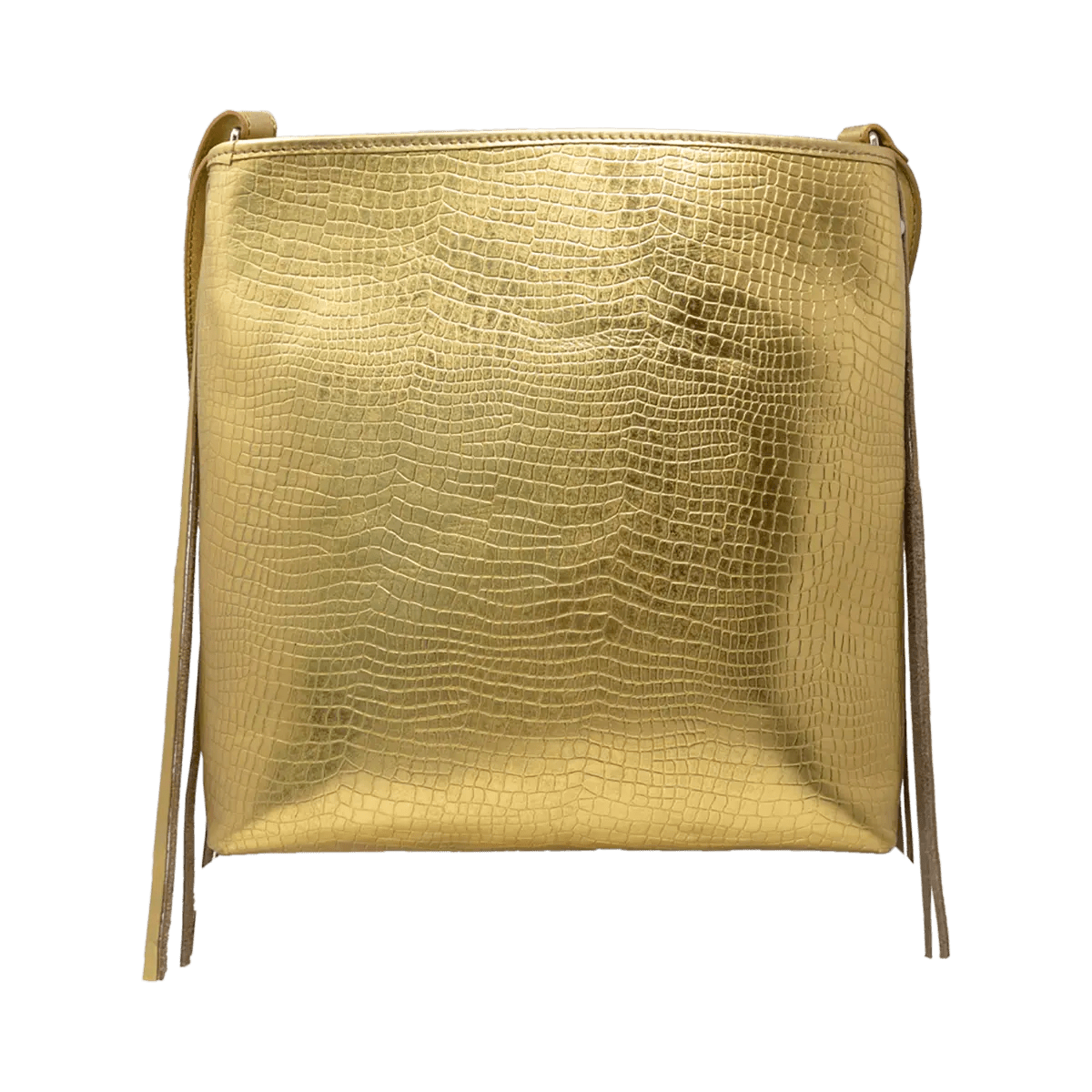 Large Leather Crossbody Bag with Fringe.