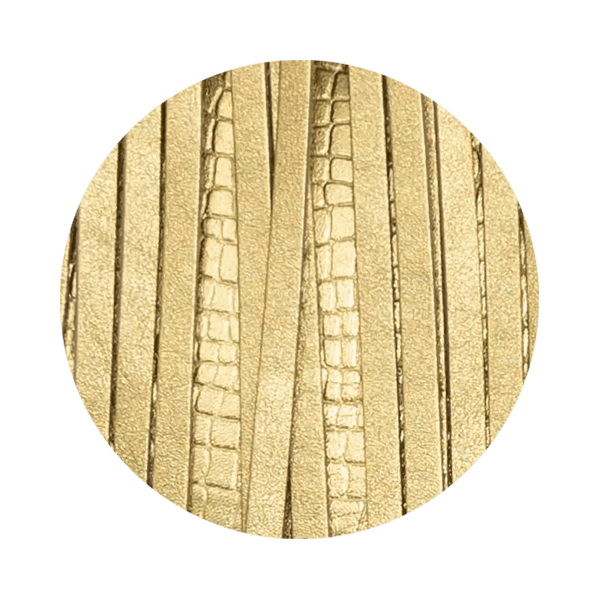 Large Leather Crossbody Bag with Fringe.