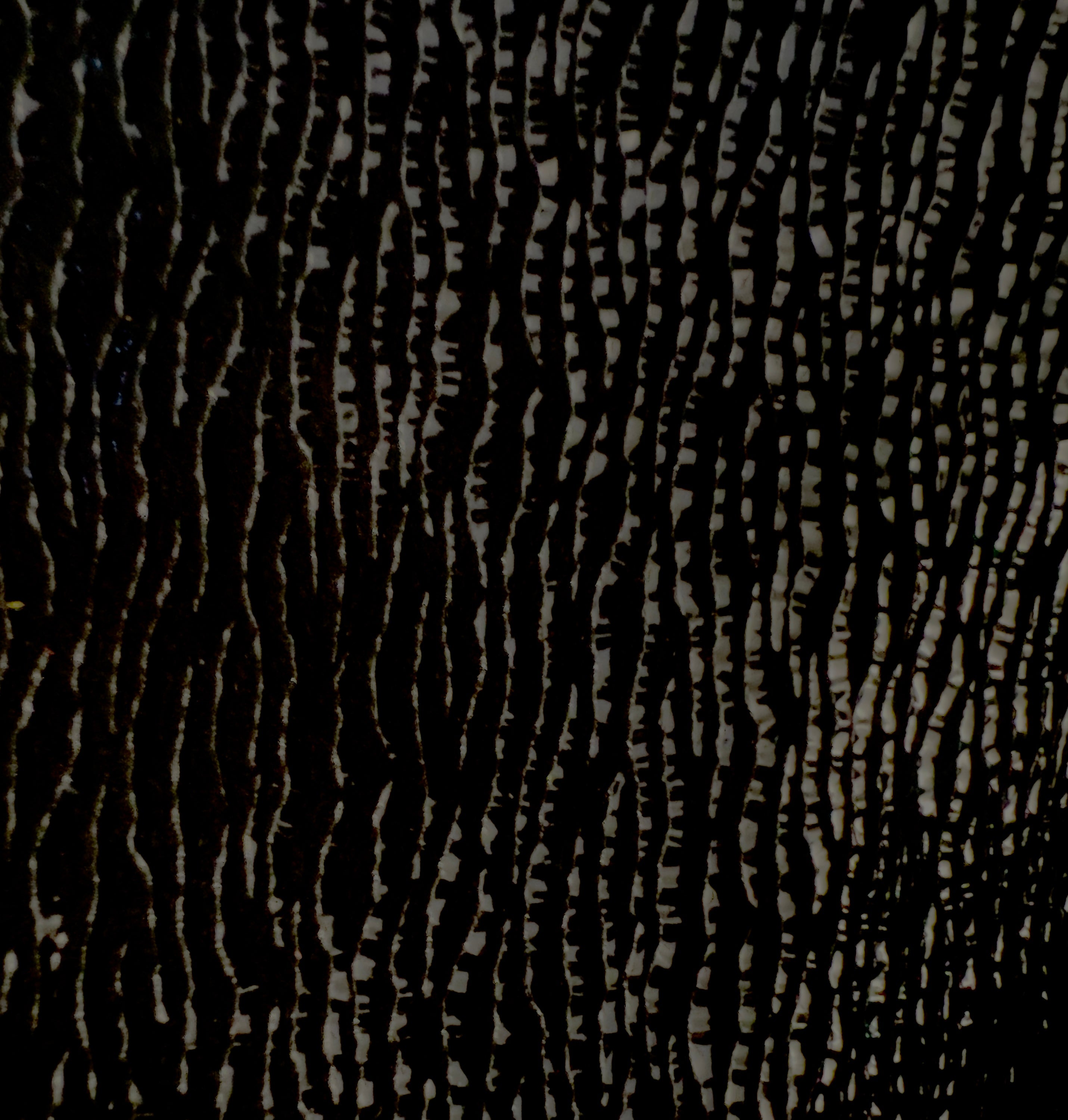 Backpack | Leather Convertible Backpack & Shoulder Bag