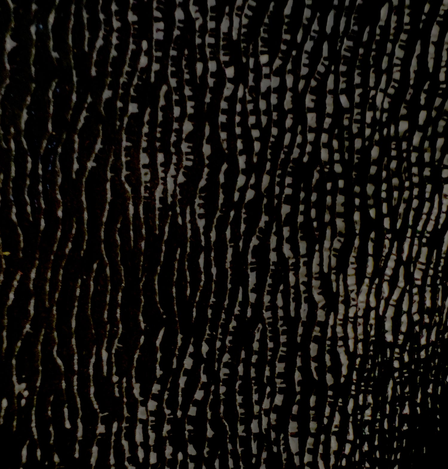 Backpack | Leather Convertible Backpack &amp; Shoulder Bag